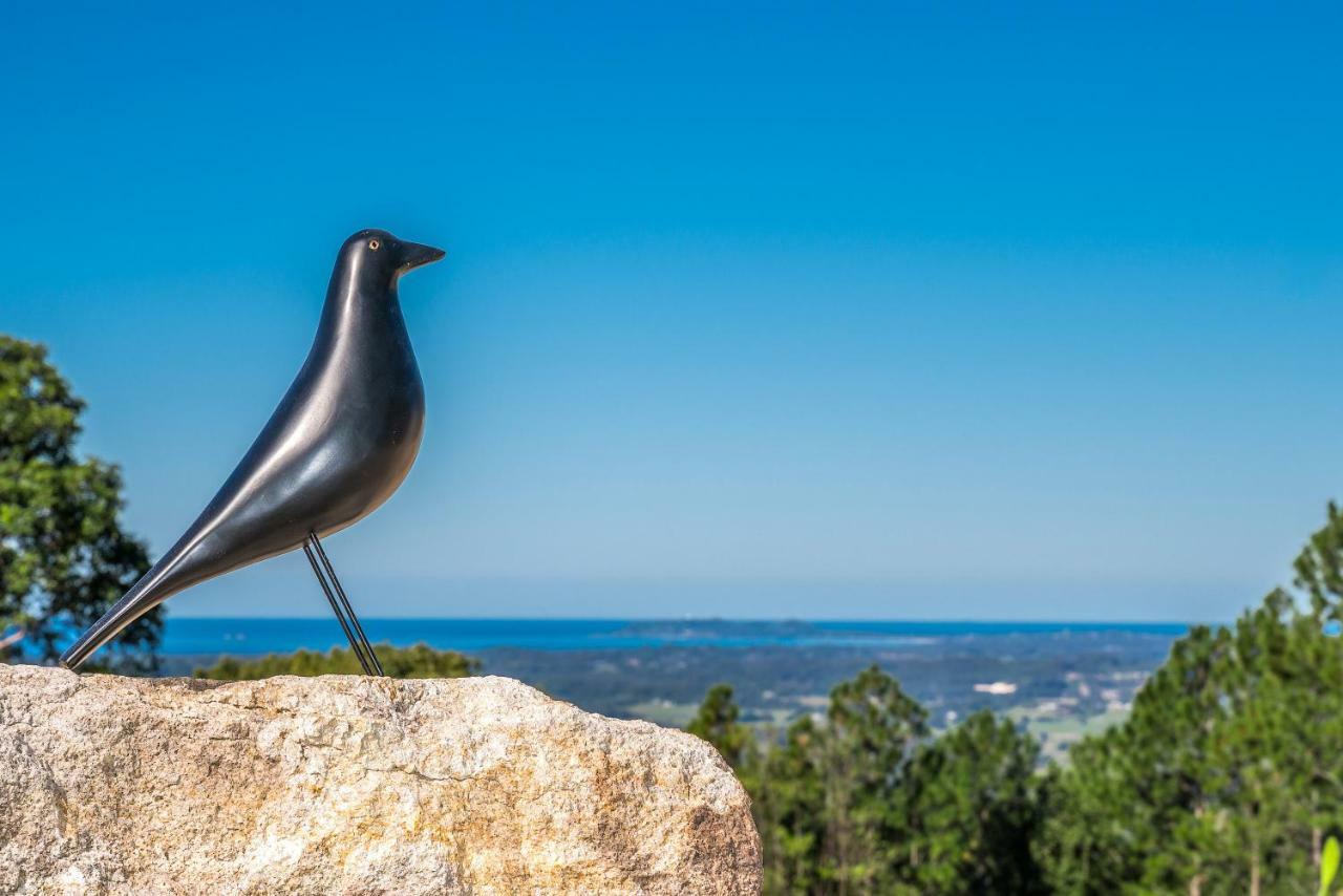 Blackbird Luxury Accommodation マランビンビー エクステリア 写真